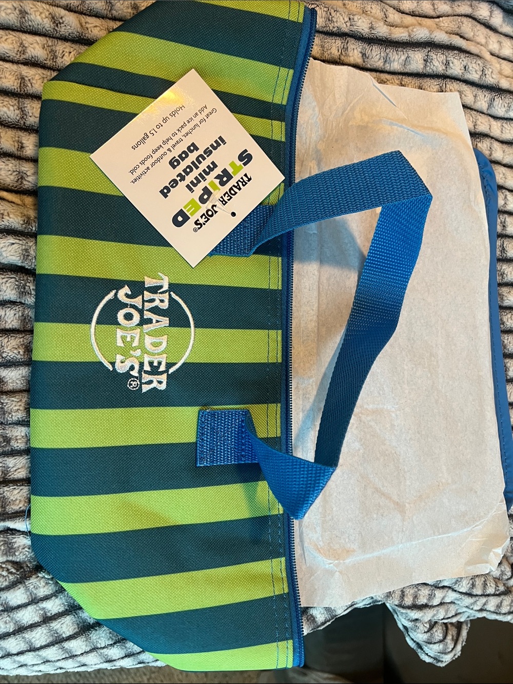 Trader Joe’s Insulated Lunch Bag - Green & Navy Stripe